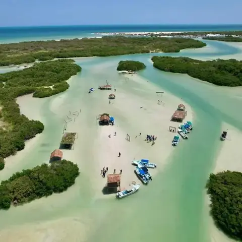 Columpios rústicos de madera instalados sobre el agua en el área de albercas